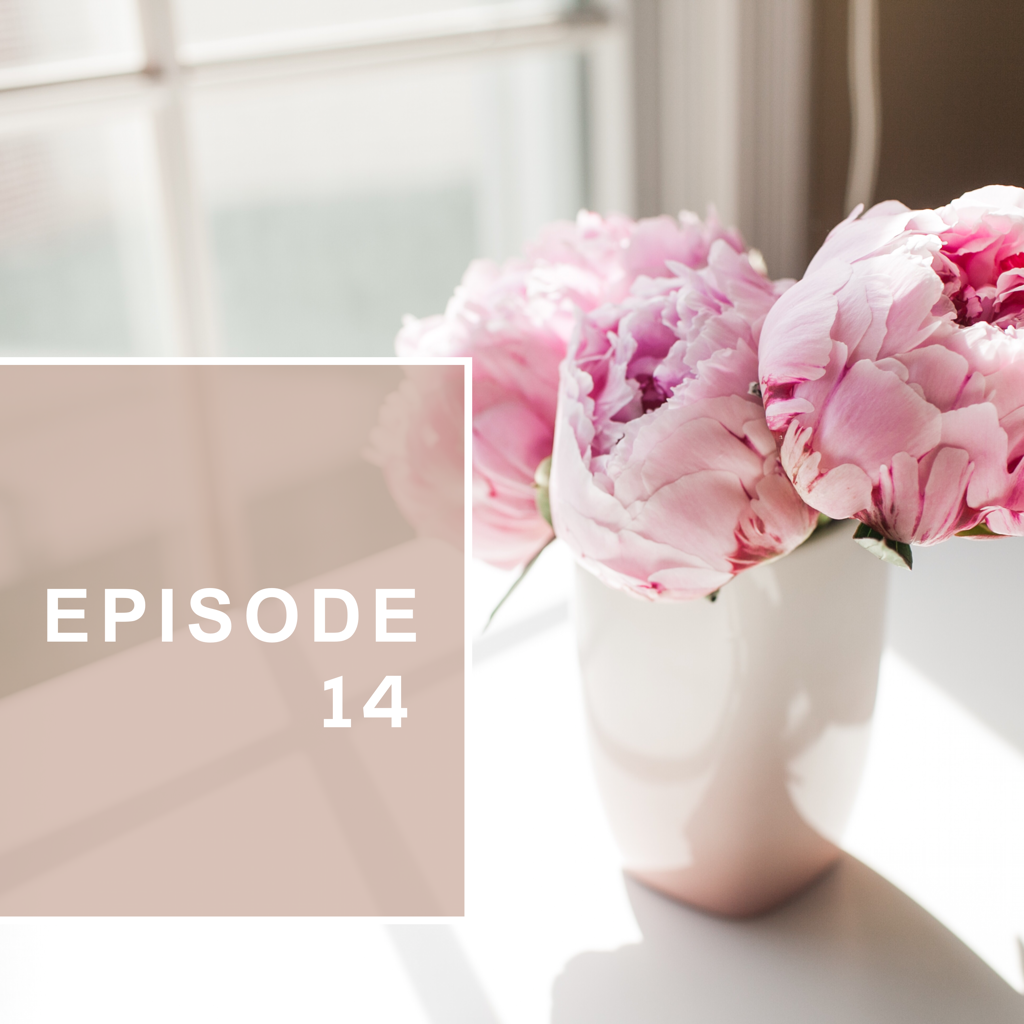 Episode 14: Things we've heard/Consejos que nos dicen