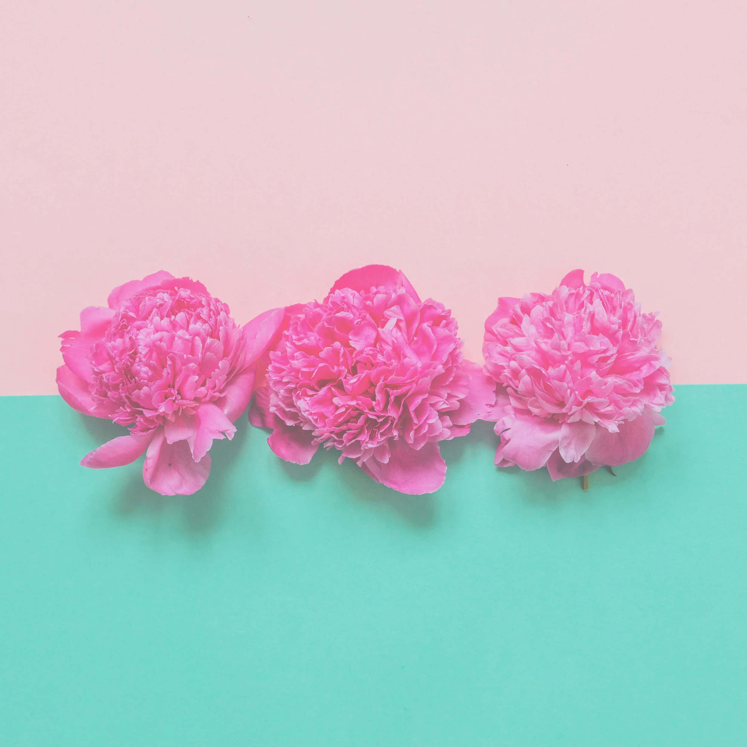 ALM Background with overlay.jpeg