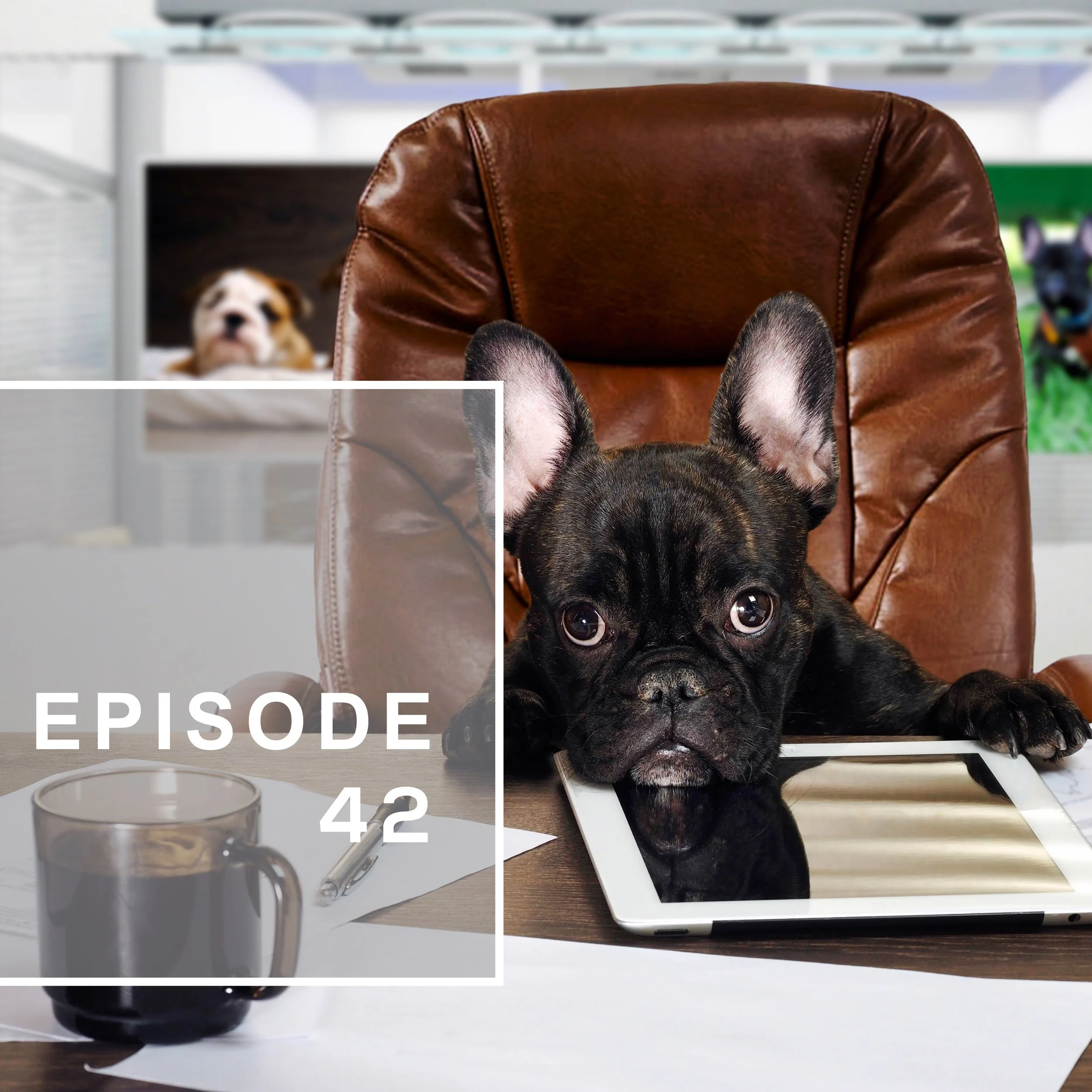 Episode 42: The Problem with "Finding Your Passion"