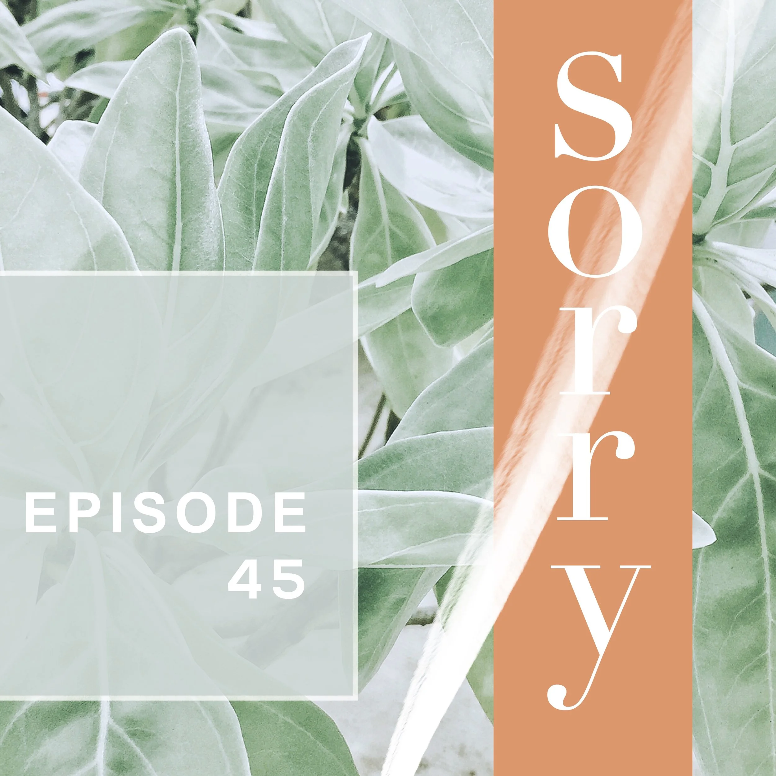 Episode 45: The Problem With Sorry 