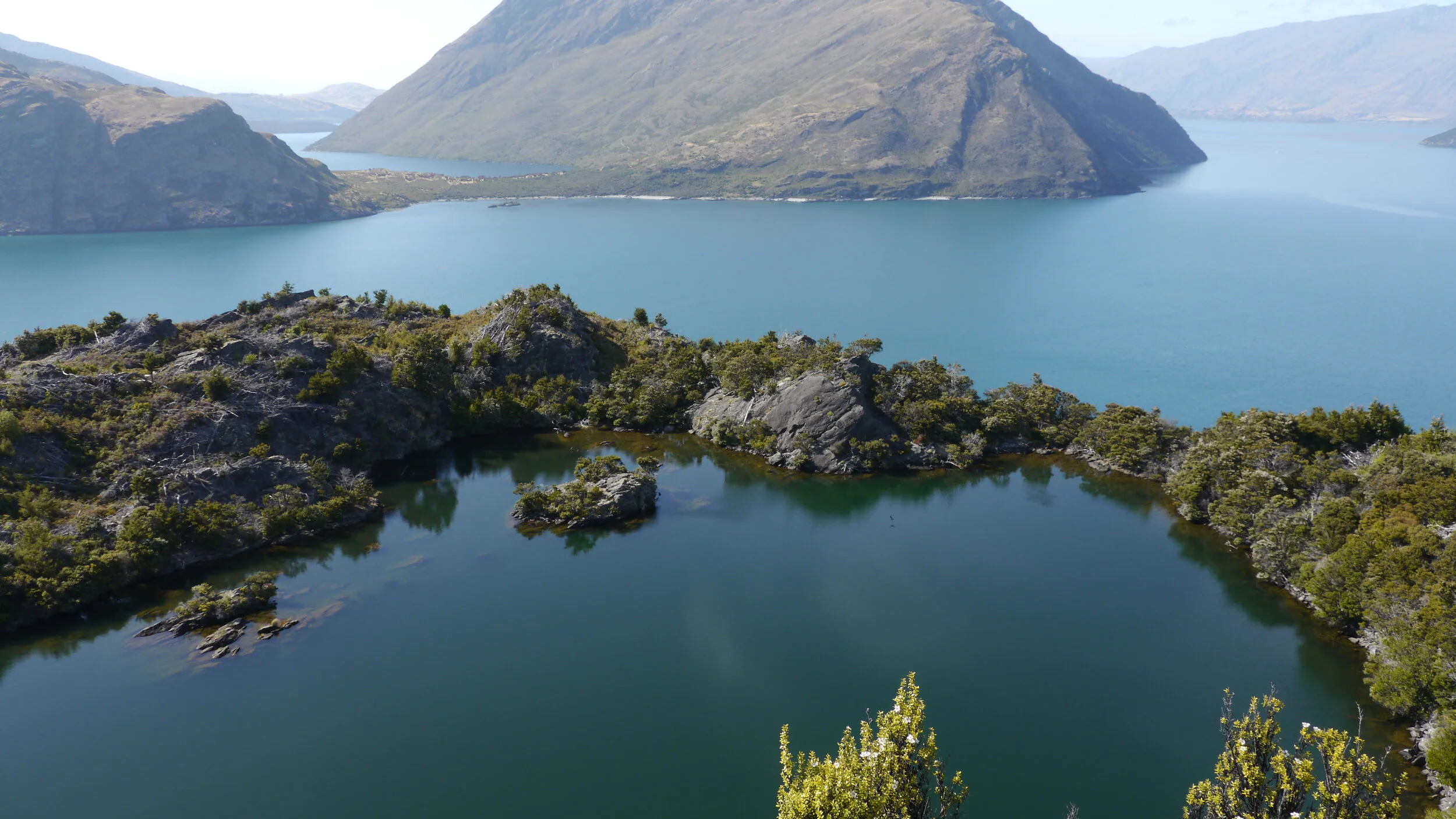 Agility, Culture and COVID19