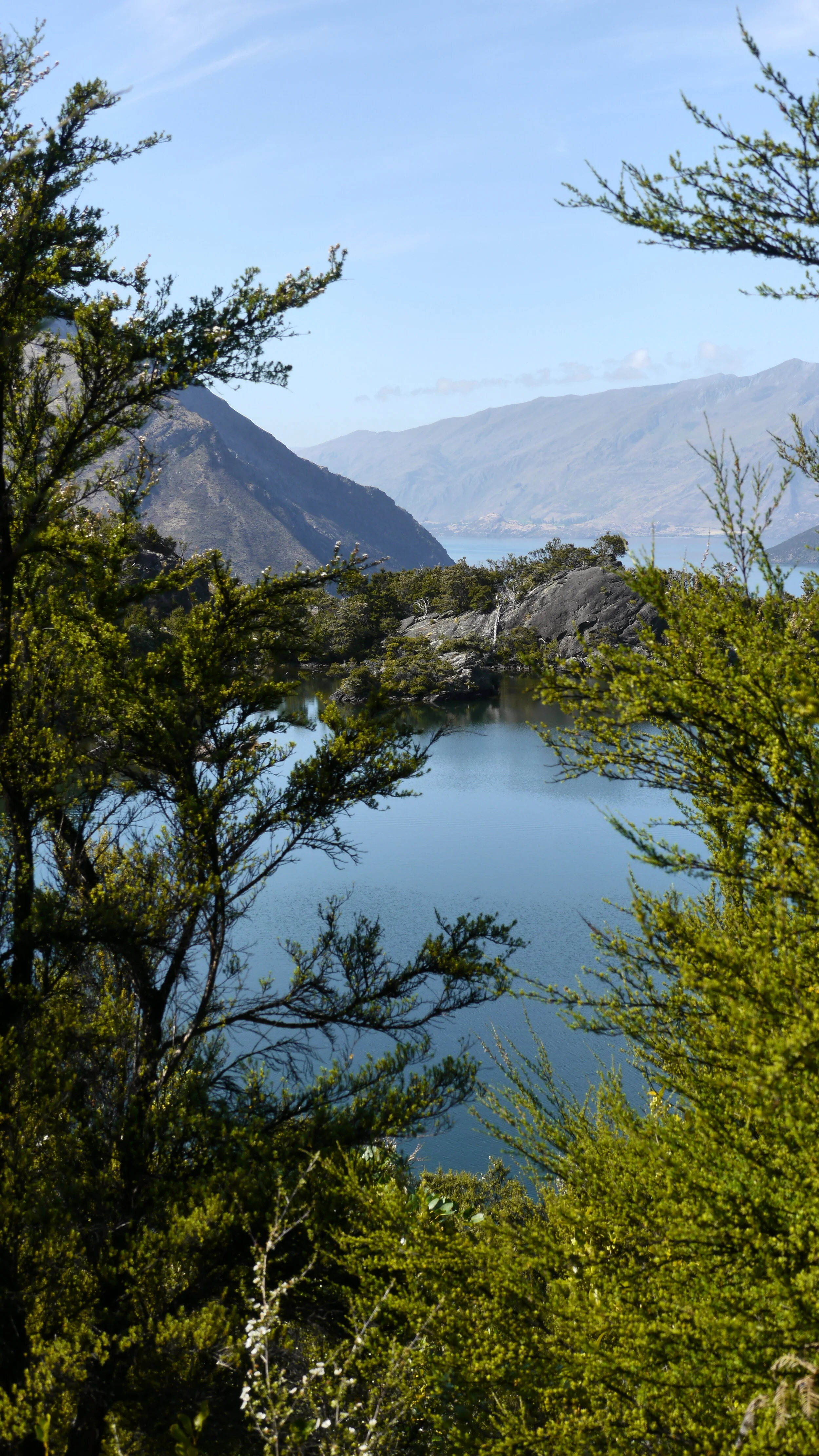 Communications, Culture and COVID19