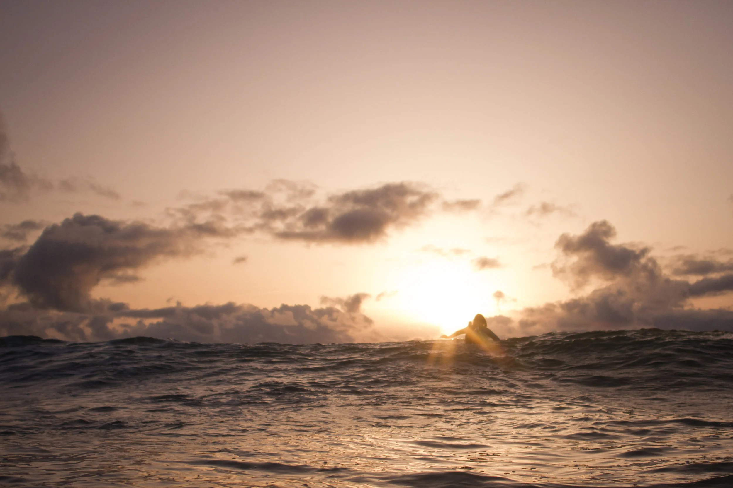 ATMOSEA-3000px-©JulienBinet-3069.jpg