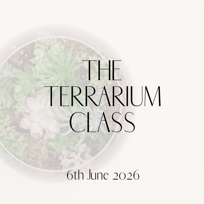 June Terrarium UKSOF.png