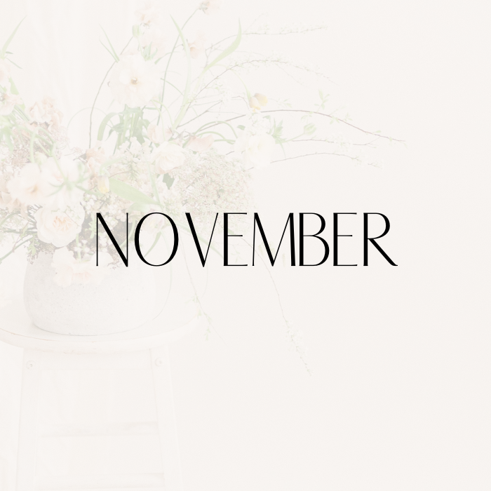 NOVEMBER UKSOF.png