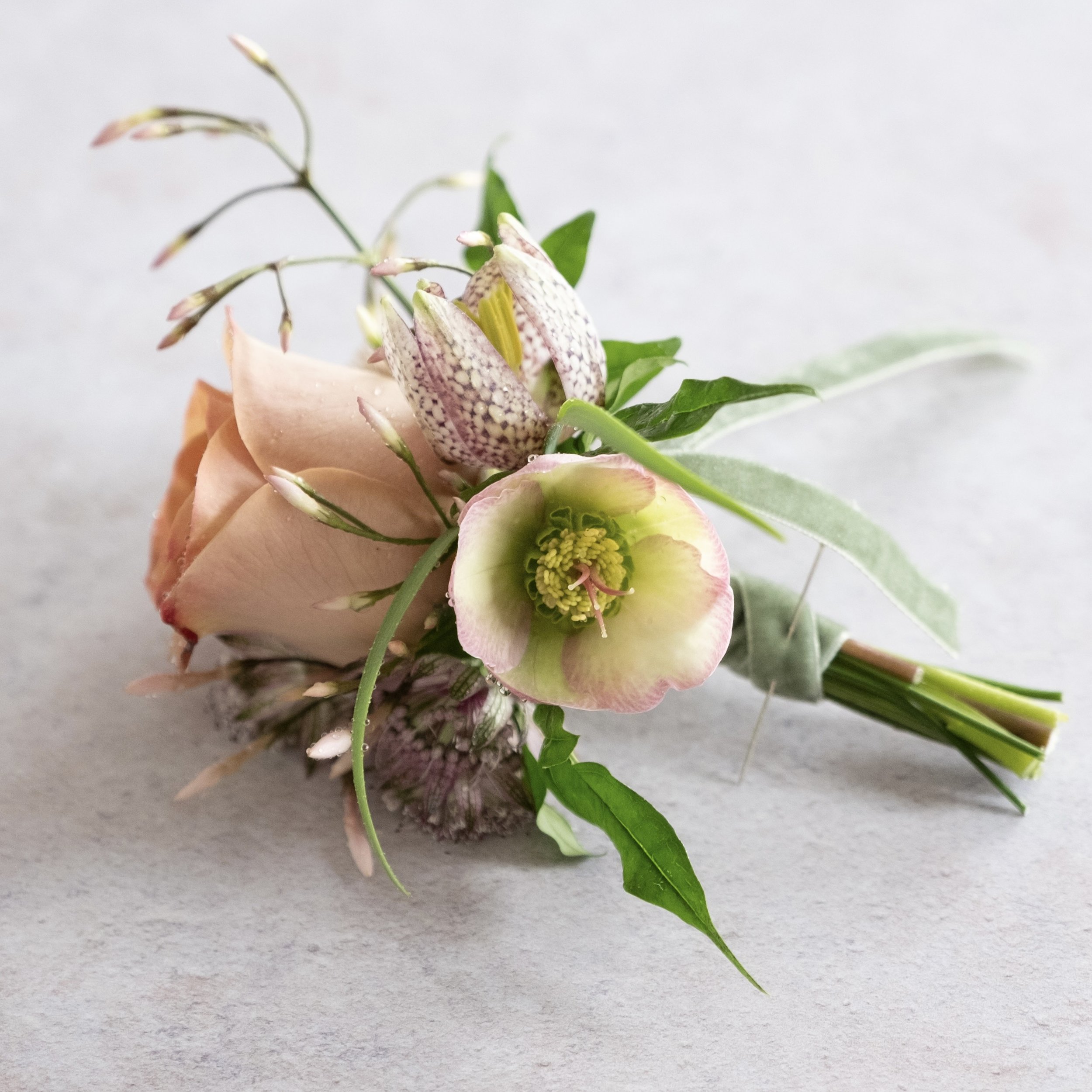 A Buttonhole arrangement by Joseph Massie. Including fritalaria, hellebore and rose with a soft green ribbon