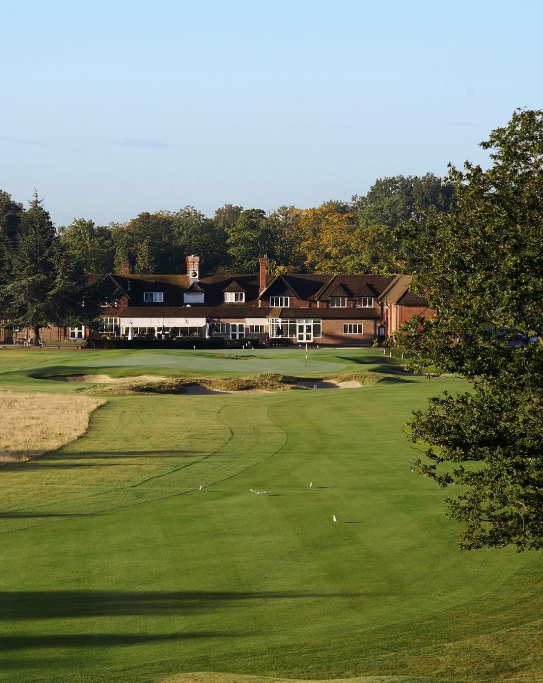 Sonning Golf Club