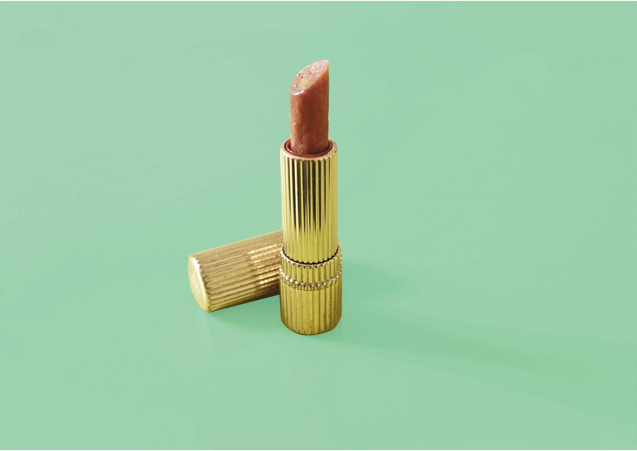MEAT STICK