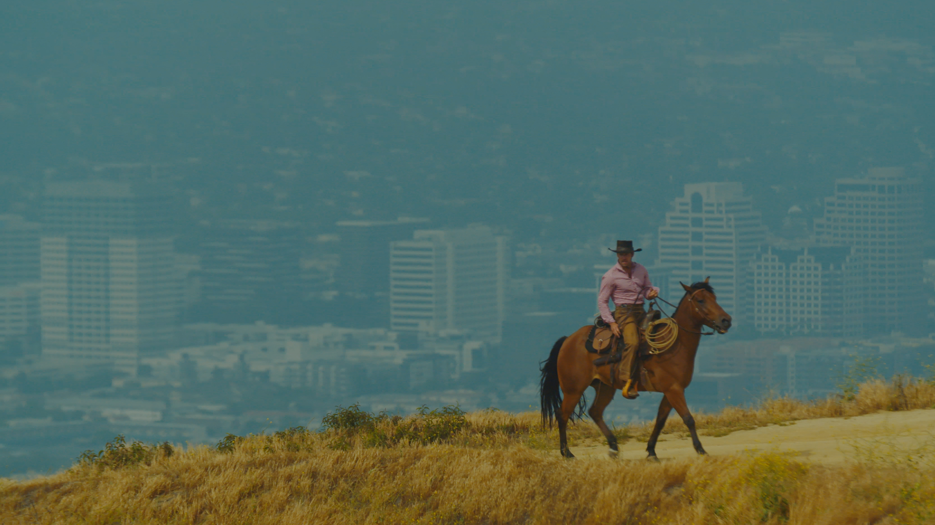 The Curse Of Kane / Forbannelsen Kane