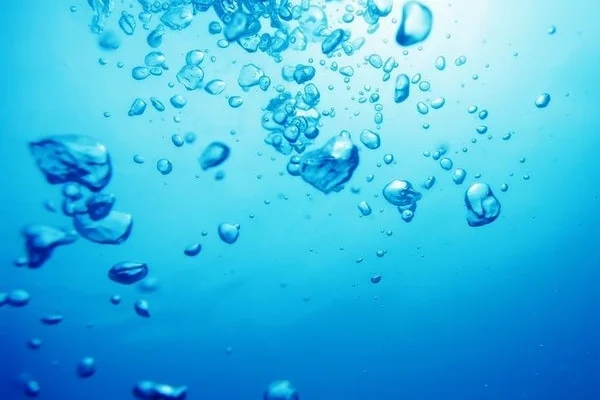 https_%2F%2Fcdn.evbuc.com%2Fimages%2F38256879%2F224633526154%2F1%2Foriginal.jpg