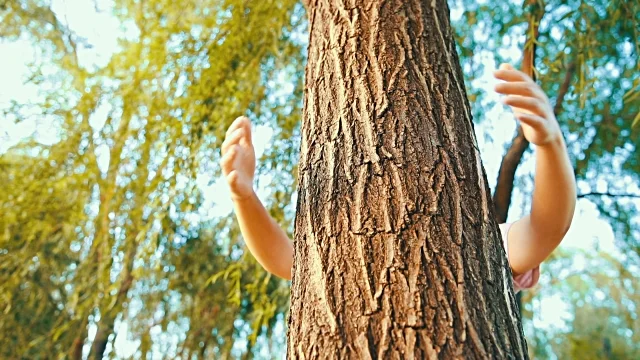 istockphoto-981850466-640x640.jpg