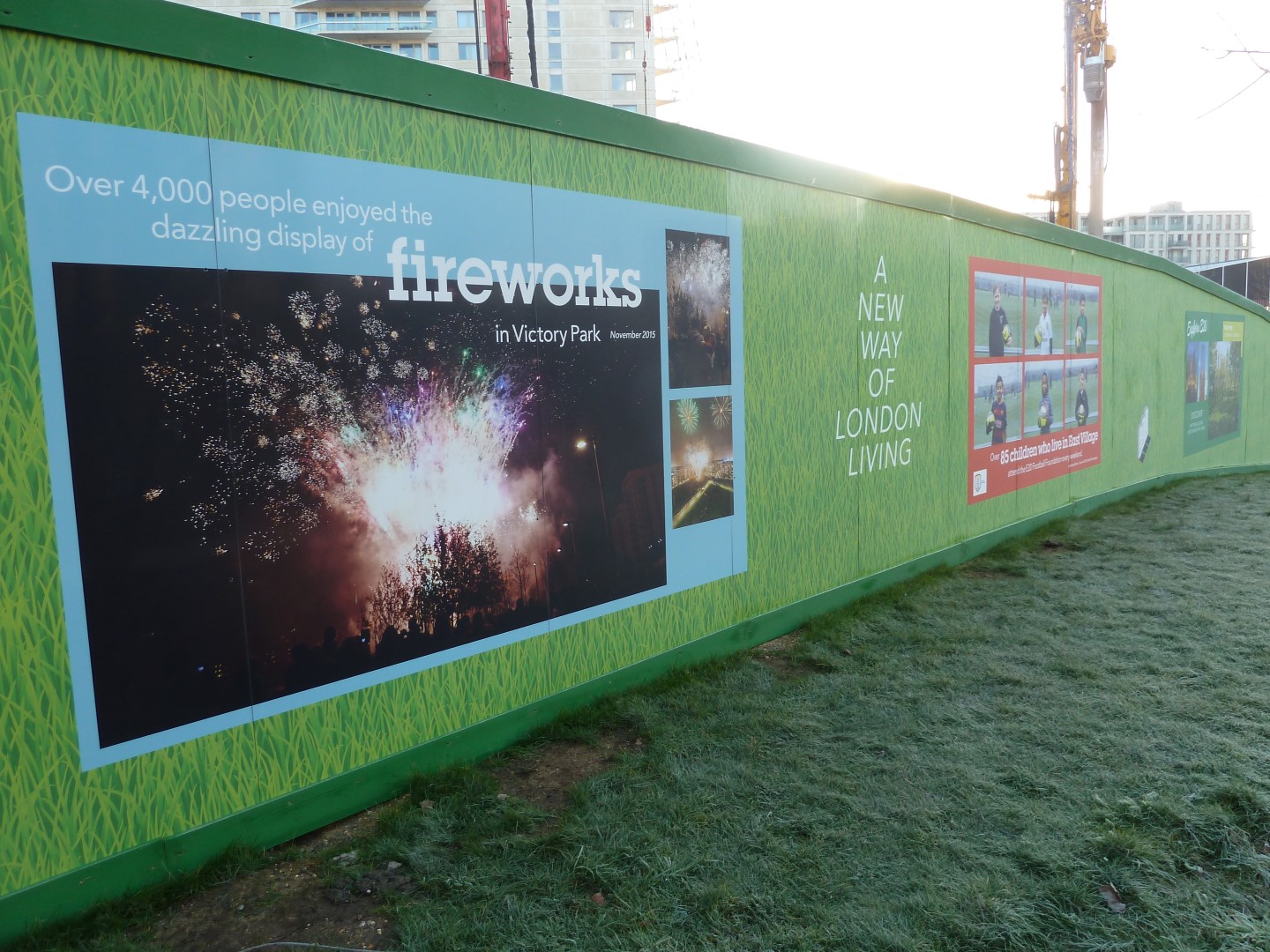 P1010331 (Large).JPG