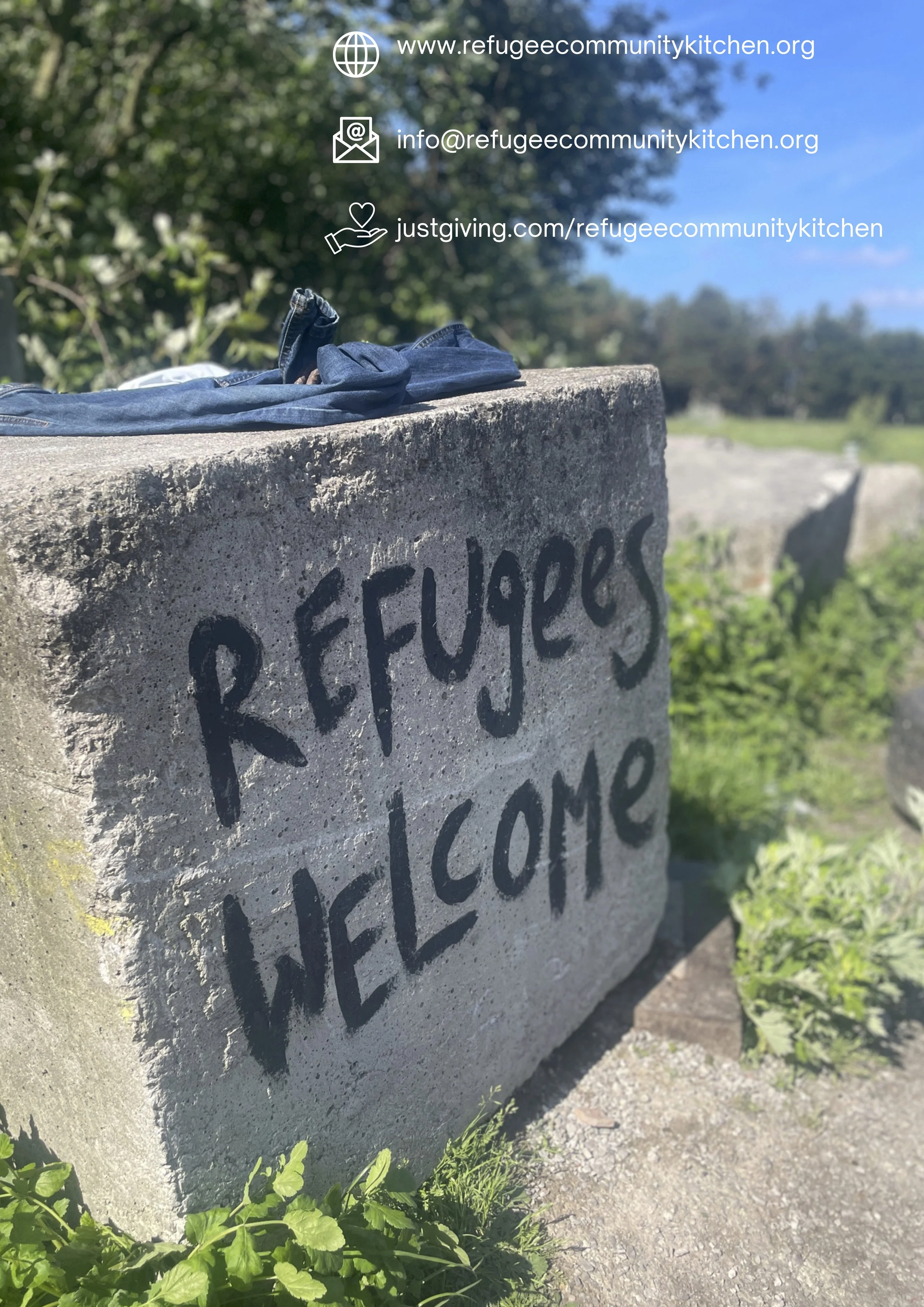 Generic Impact Report from 2024 .jpg