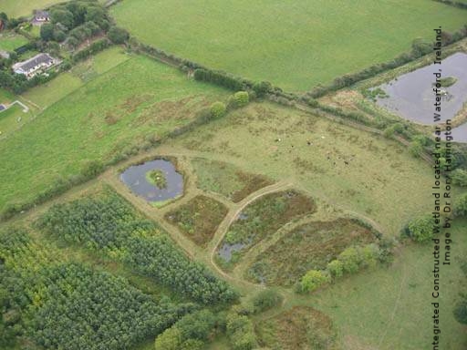 Liquid Assets - capital ways to save water