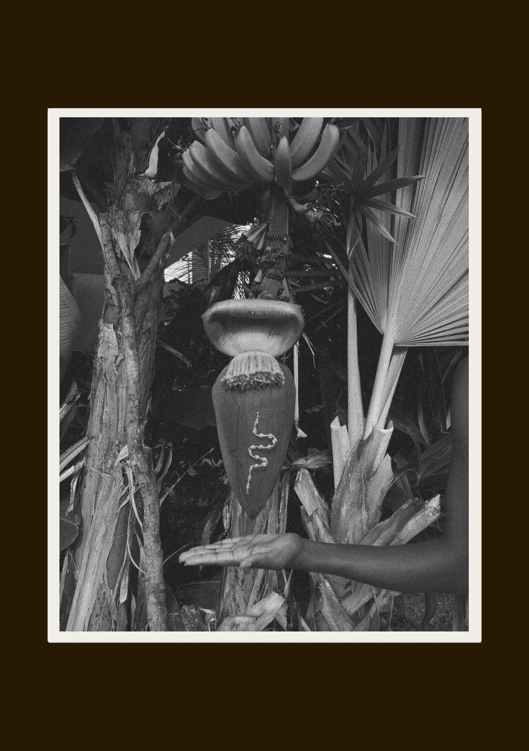 Untitled-2.jpg