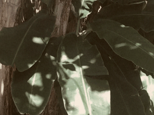 GIF 05.gif