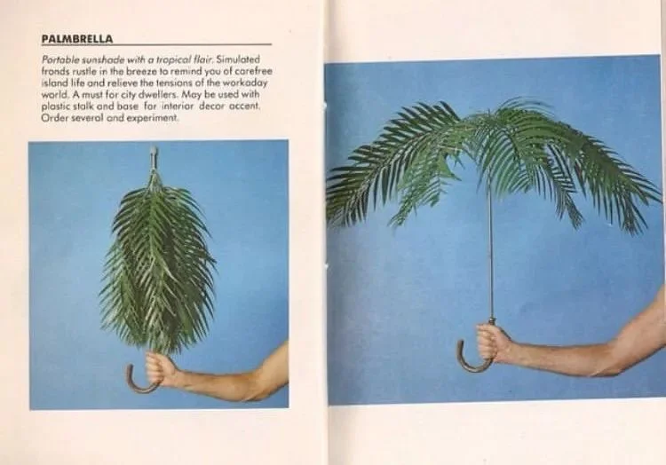 Palmbrella by Philip Garner