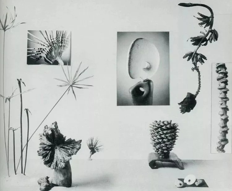 New Horizons in Flower Arrangement by Myra J.Brooks with Mary Alice & John P. Roche, 1961
