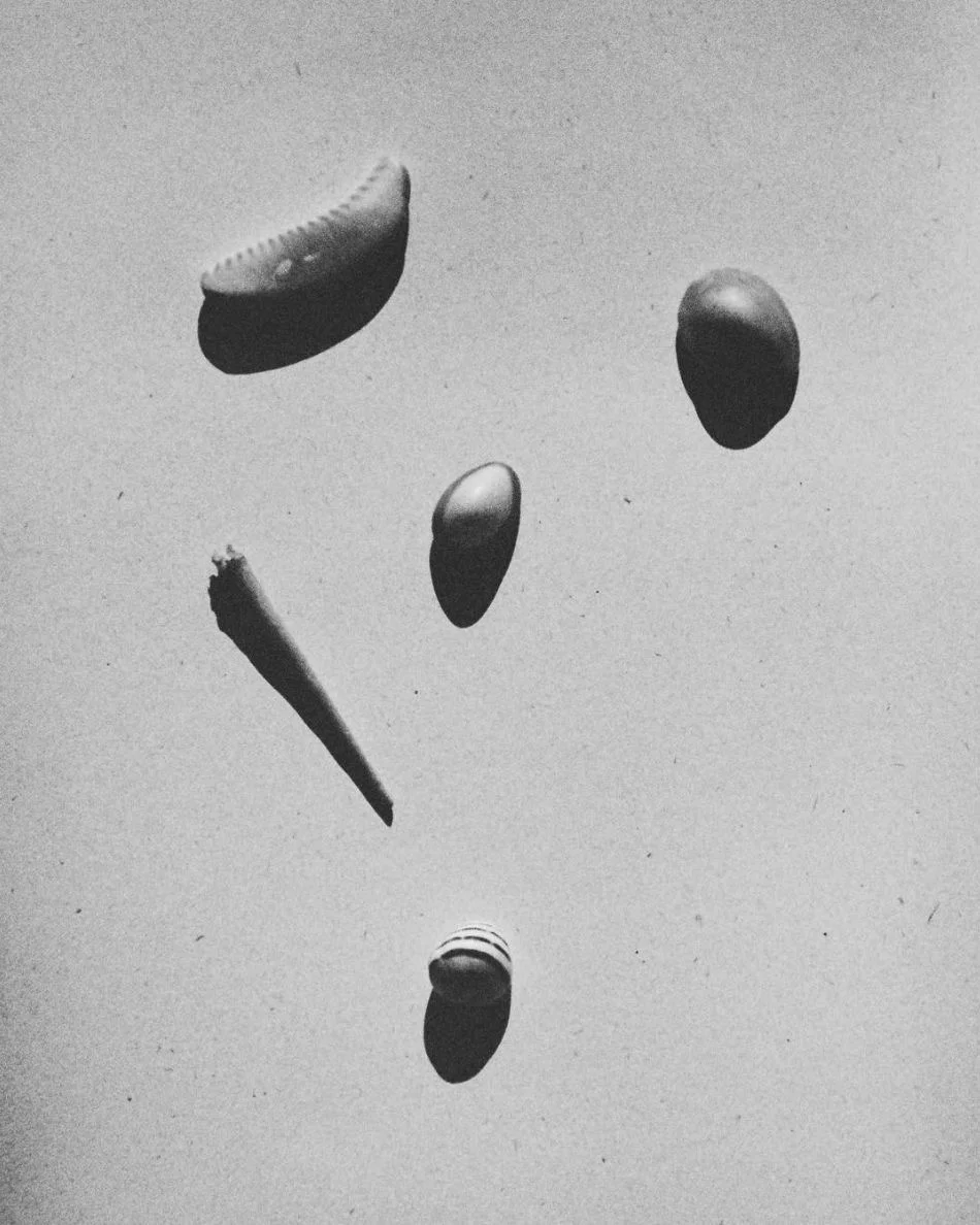 Photography by Pierrot