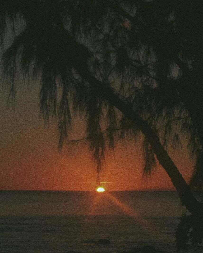 Photography by Karen Pang