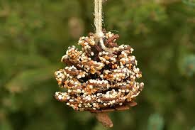 Try making this at-home bird feeder and it will spark excitement every time a new visitor flies to your window!