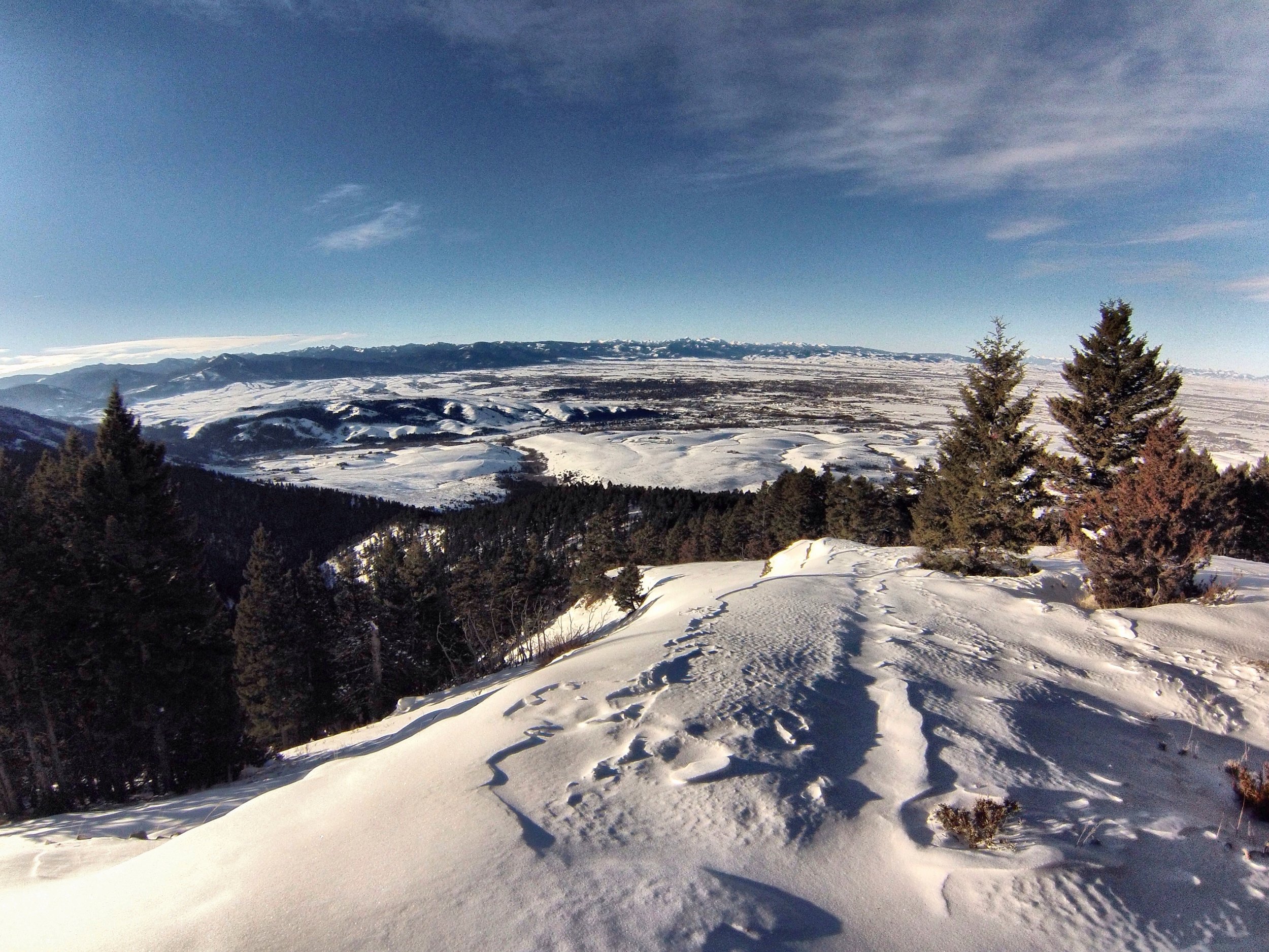 Montana