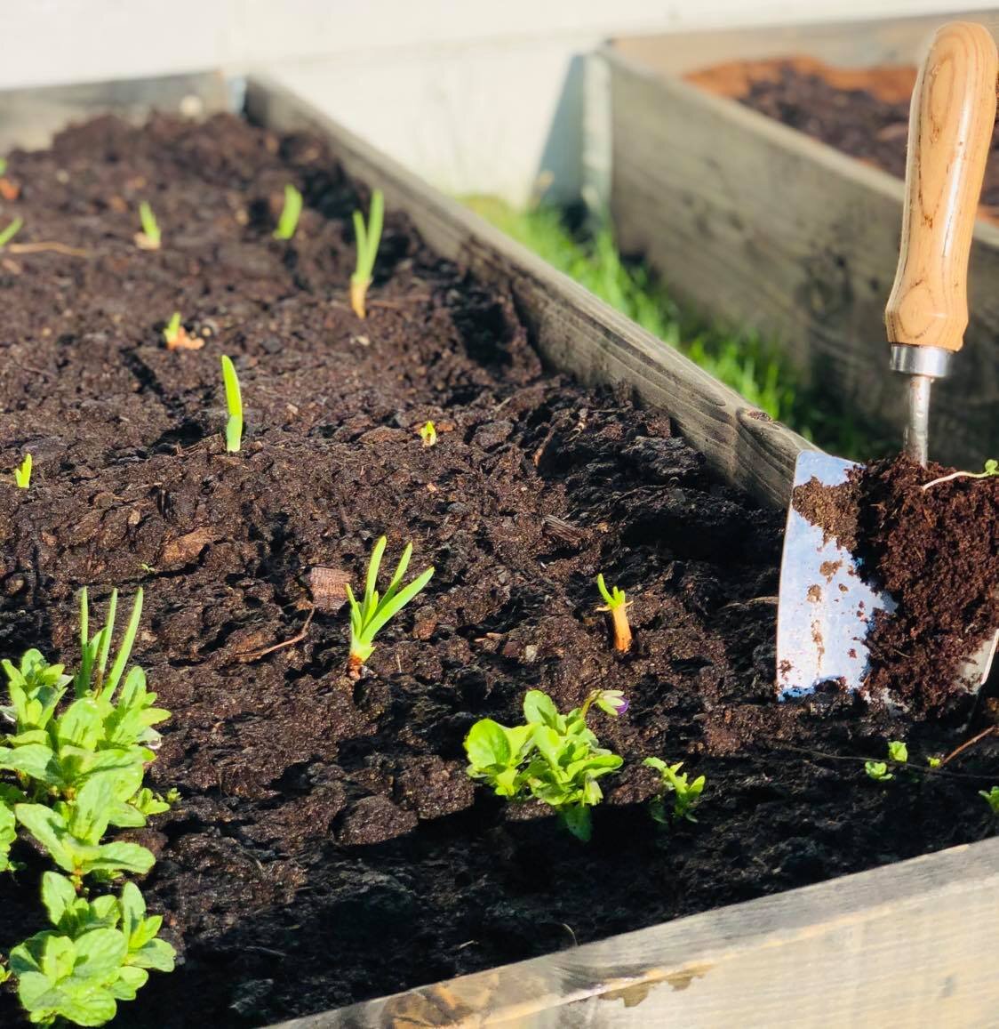 Treng hagen din næring?