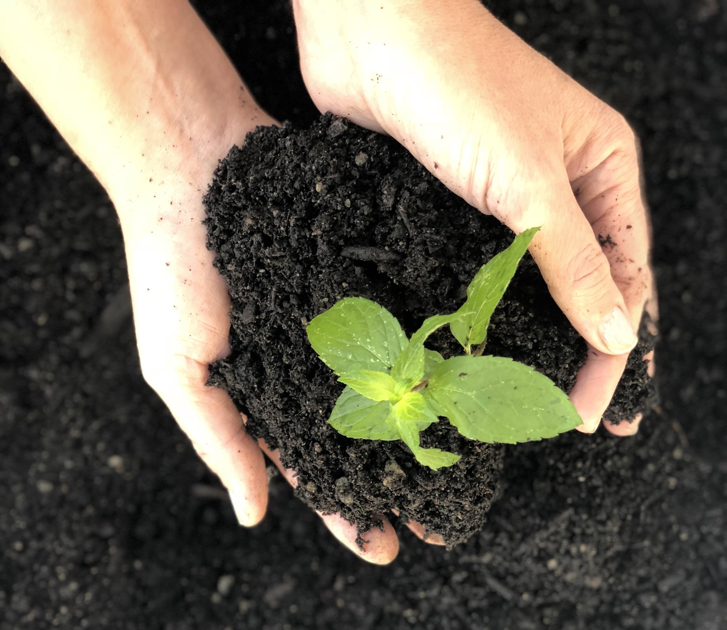 SIMAS  med i viktig forskingsprosjekt om plast