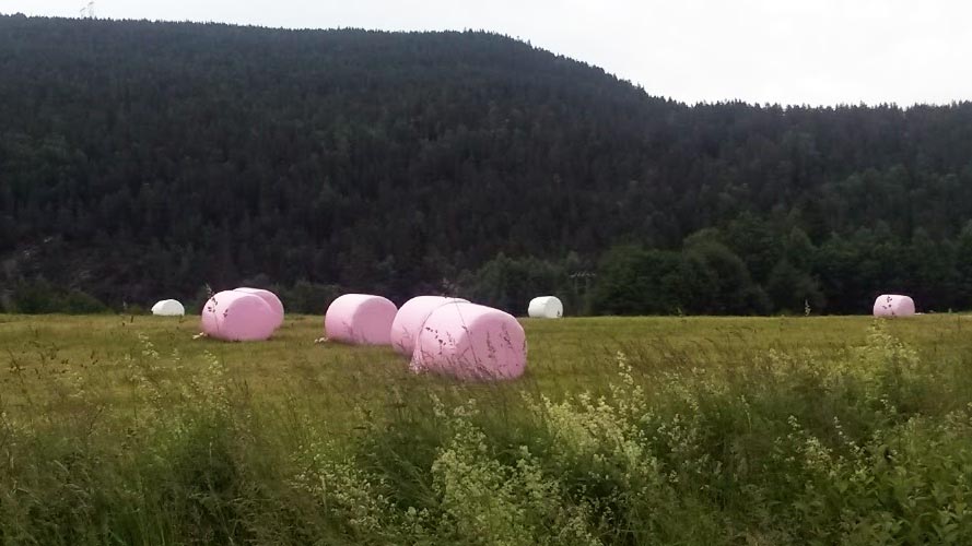 Vårryddeaksjon 2019