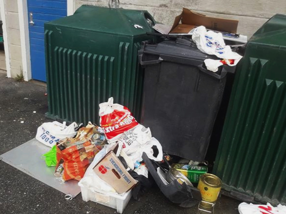 Fulle containarar og søppel som flyt i naturen?