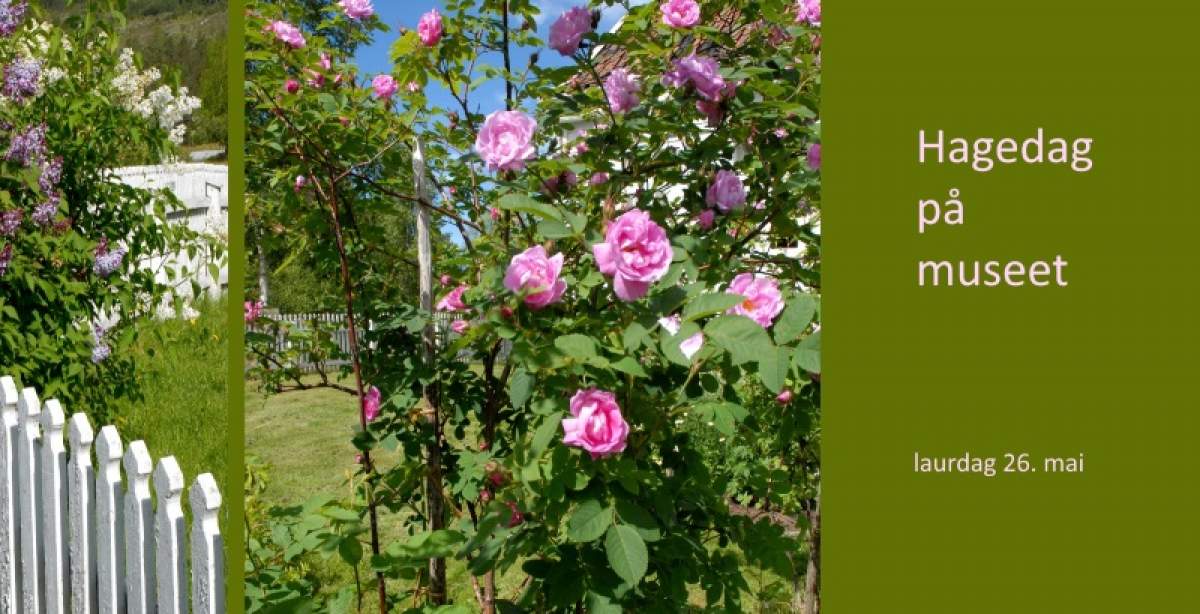Me stiller på Hagedag på museet 26. mai
