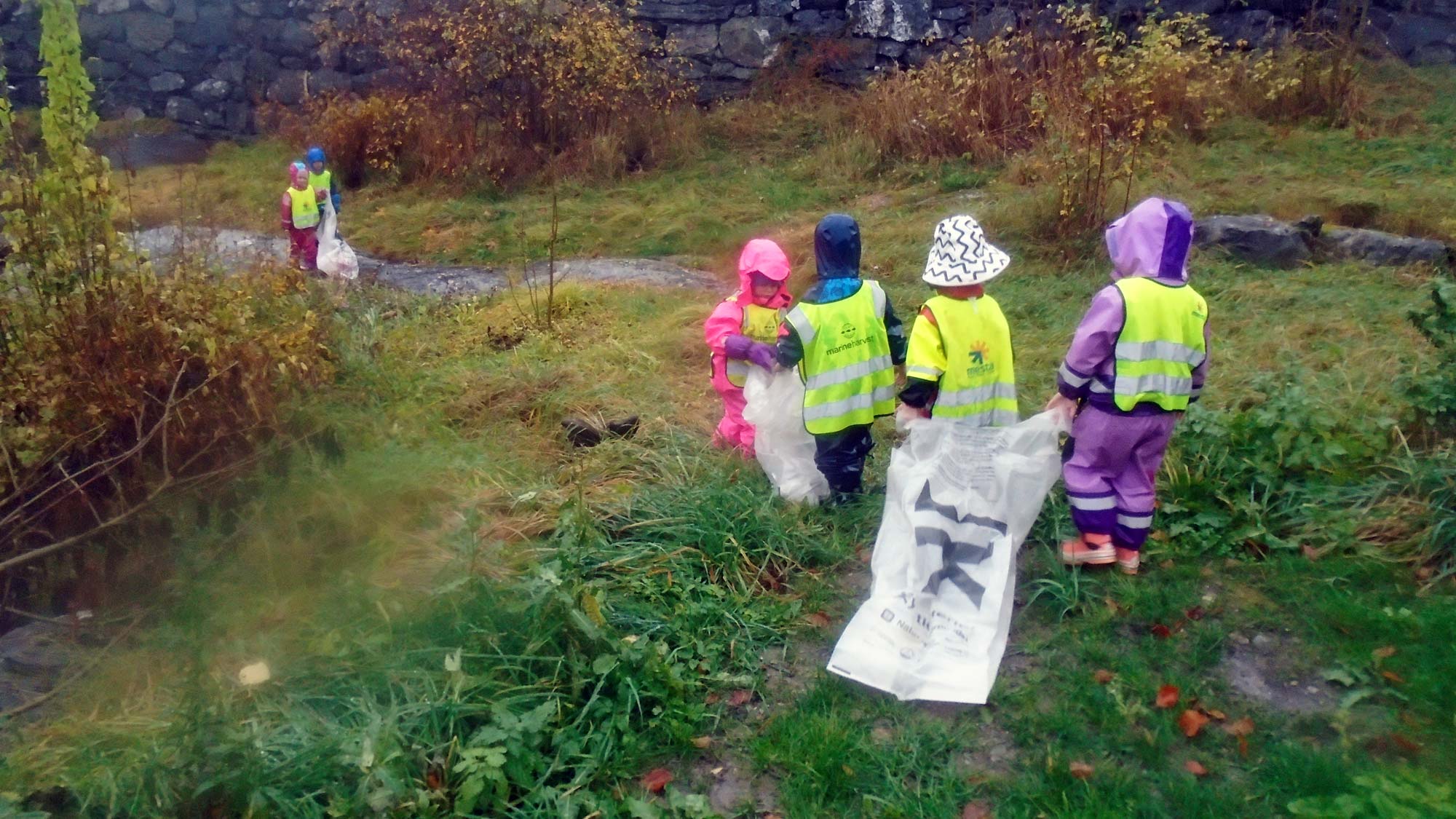 4-åringar plukka bos og vann 2000 kroner