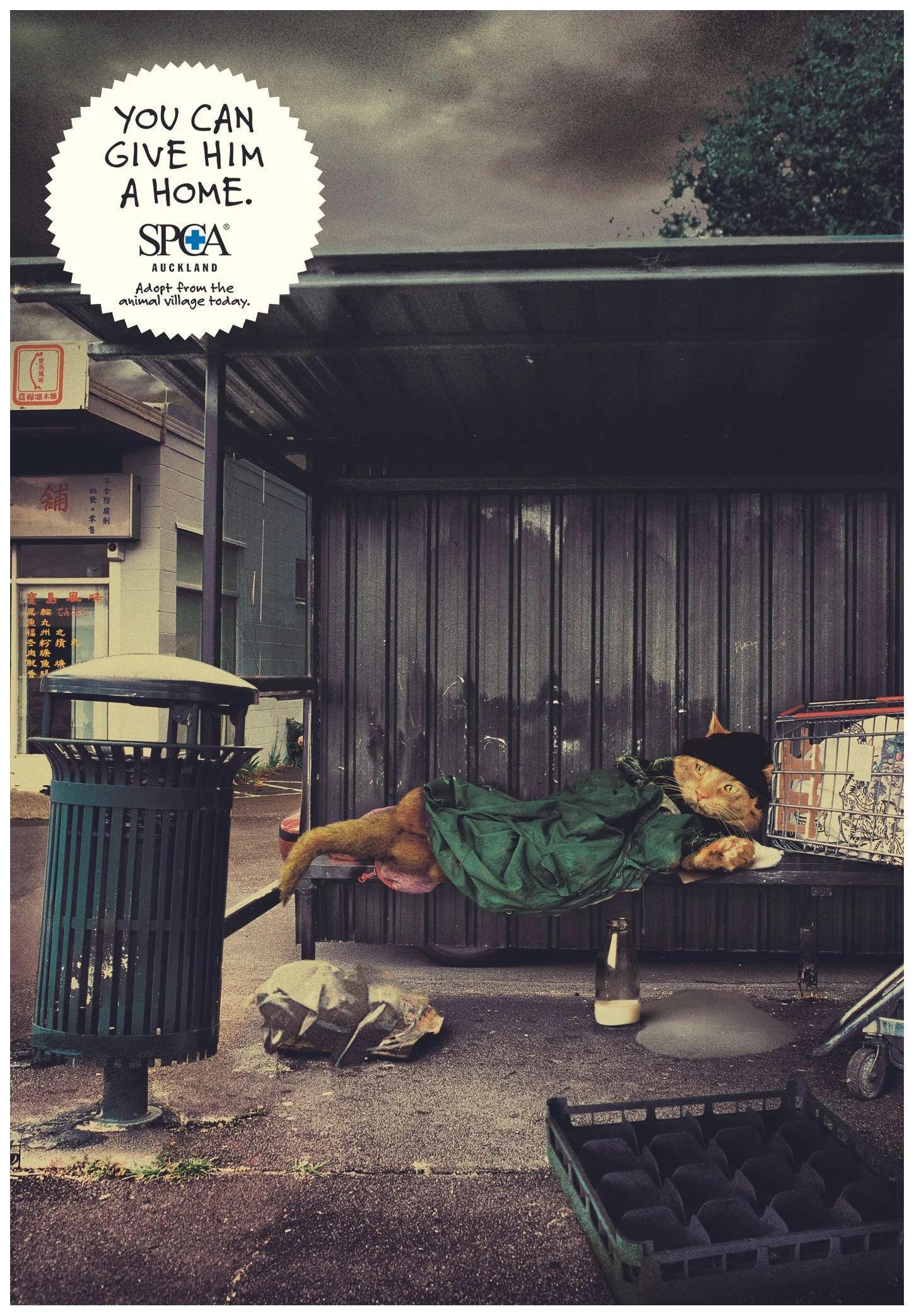 SPCA Bus Stop.jpg