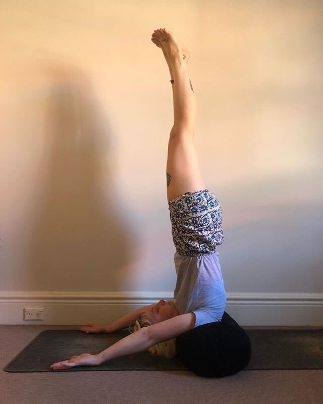 Another inversion that I&rsquo;m really digging with all my home yoga and online classes is this Nirlamba Sarvangasana variation. Getting more confident with it every time I go up. Silver linings. ✨
