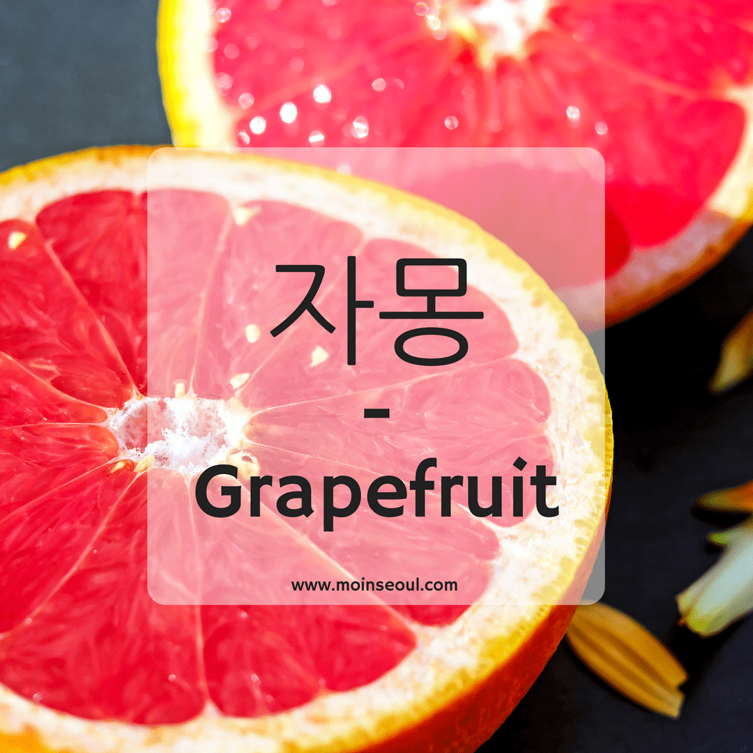 자몽 Wort des tages - einfachhangeul.png