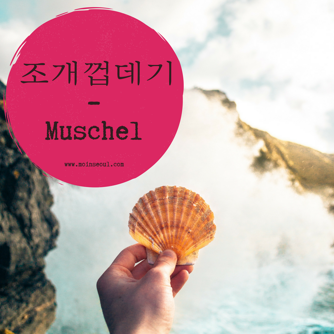 조개껍데기_Muschel_einfachhangeul_MoinSeoul.png