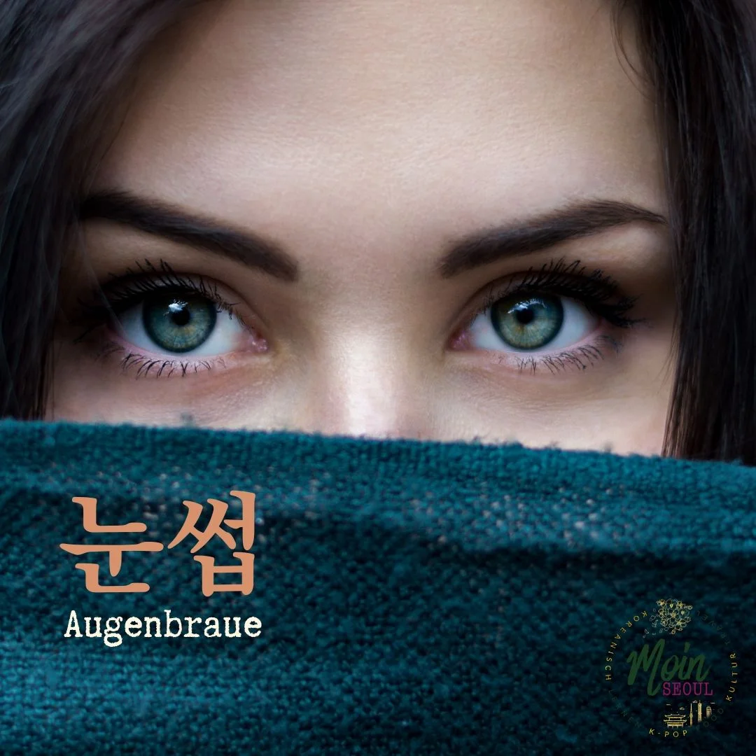 눈썹_Augenbraue_einfachkoreanisch_MoinSeoul.jpg