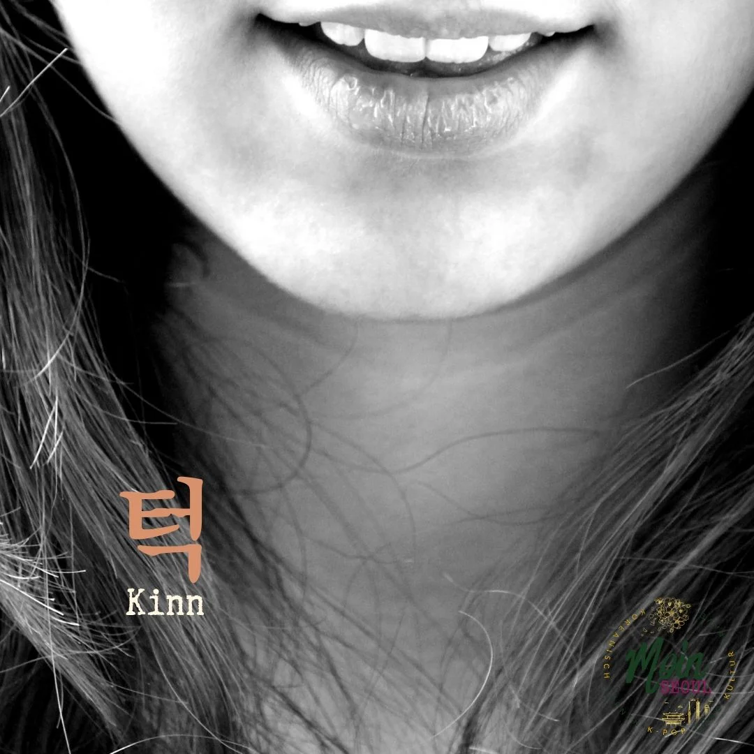턱_Kinn_einfachkoreanisch_MoinSeoul.jpg