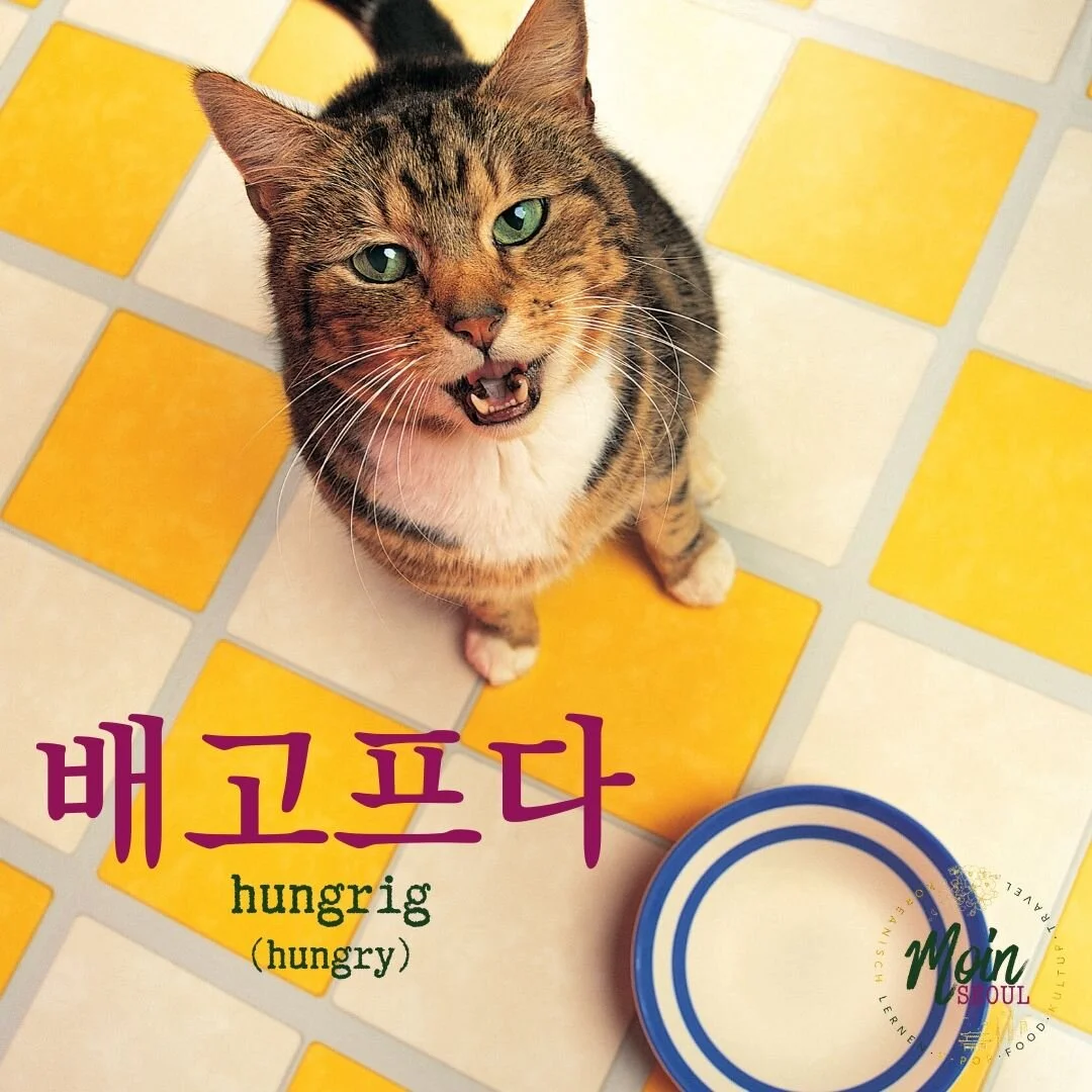 배고프다_hungrig_einfachkoreanisch_MoinSeoul.jpg