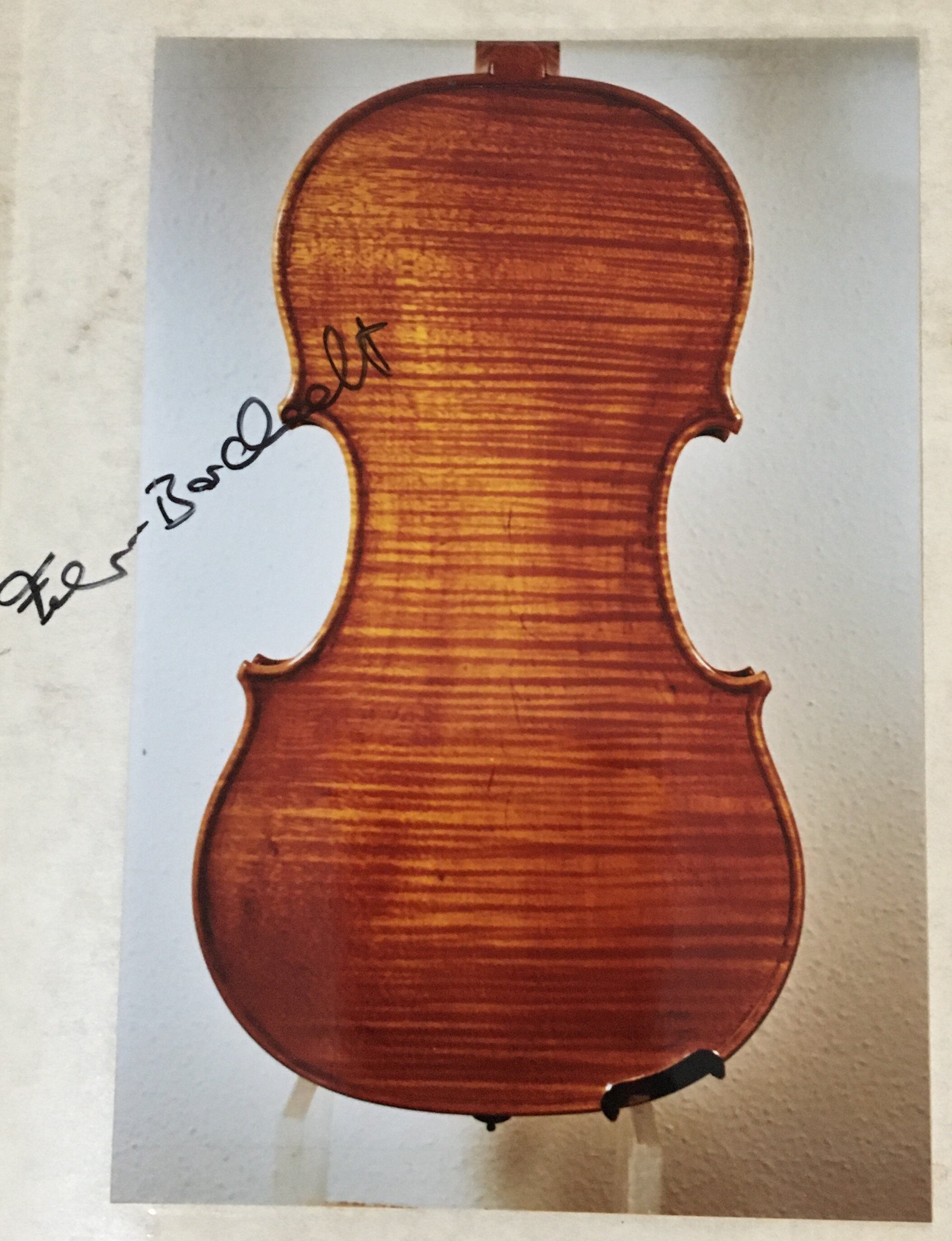 Phoenix Violins & Bows — Phoenix Collective