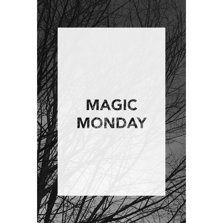 Cyber Monday @Ginger