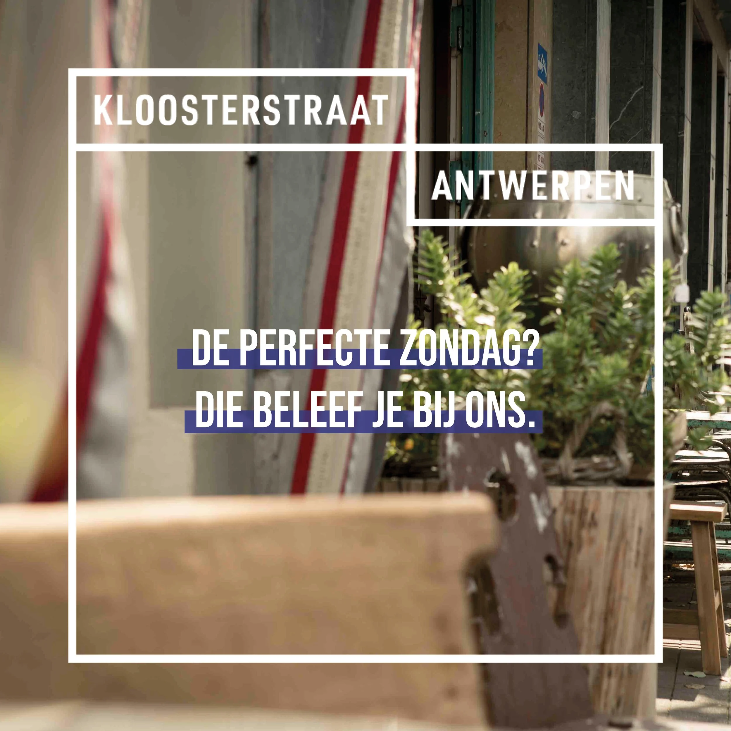 Nog een plan nodig voor je zondag? Kom langs bij ons. 