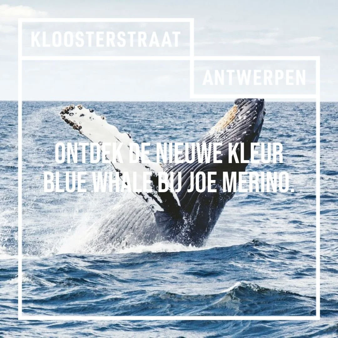 Ontdek nu de kleur Blue Whale bij Joe Merino. 