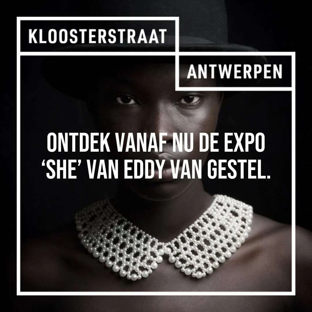Vanaf nu kan je de nieuwe expo ‘She’ Van Eddy Van Gestel ontdekken. 