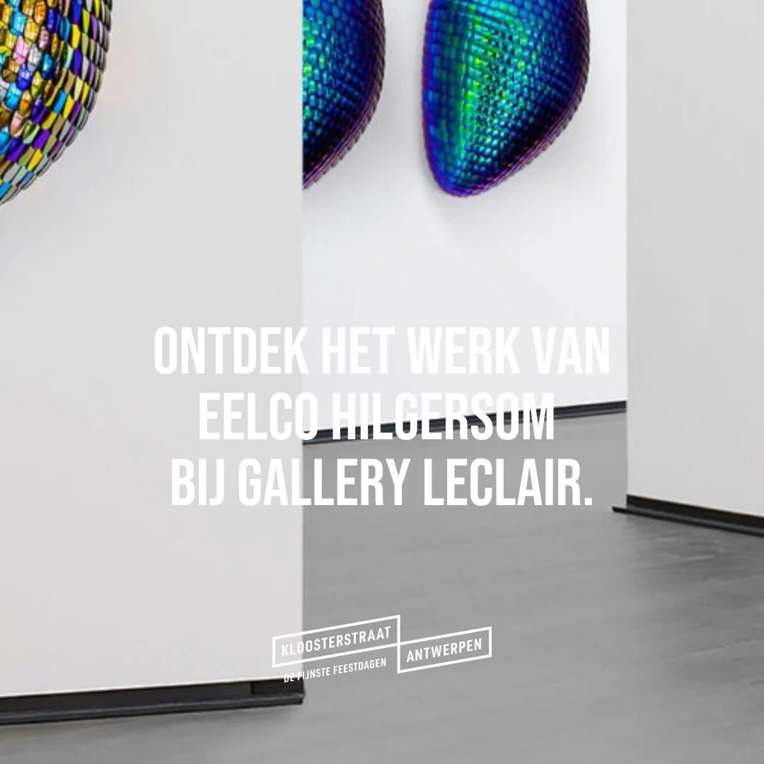 Ontdek het werk van Eelco Hilgersom bij Gallery Leclair. 