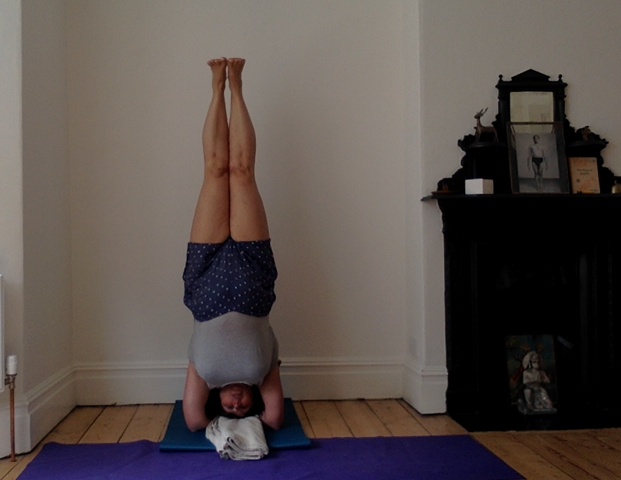 Saturday Morning Workshops