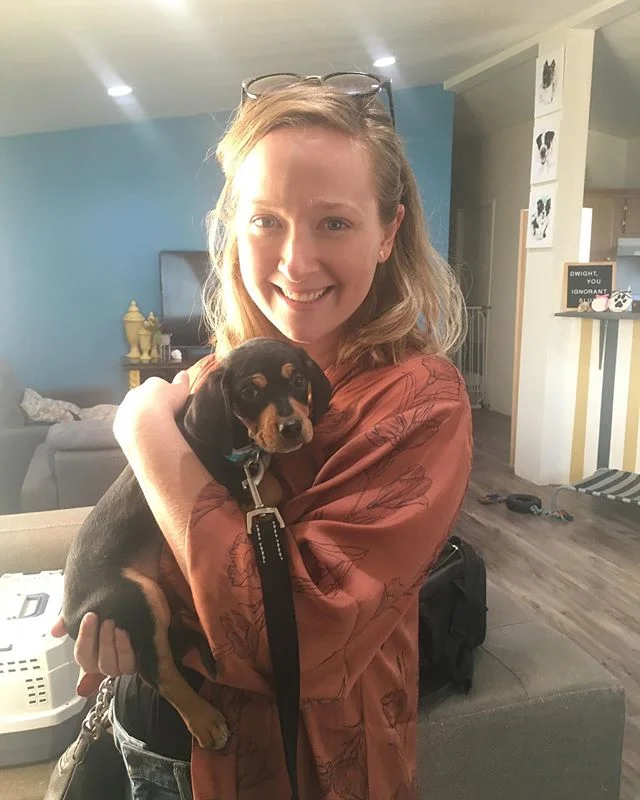 This is my new little buddy, Rudy and Iβm absolutely in love with him! He loves people and chewing on his favorite toys and napping πΆ π
