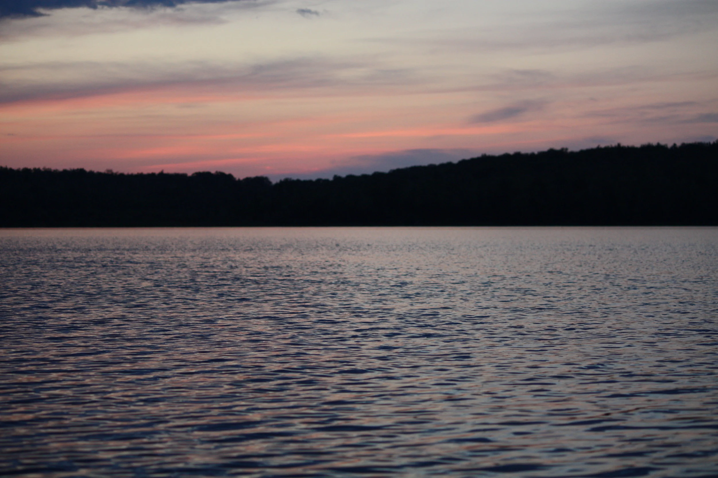 Disputed Sales of Real Estate: Specific Performance