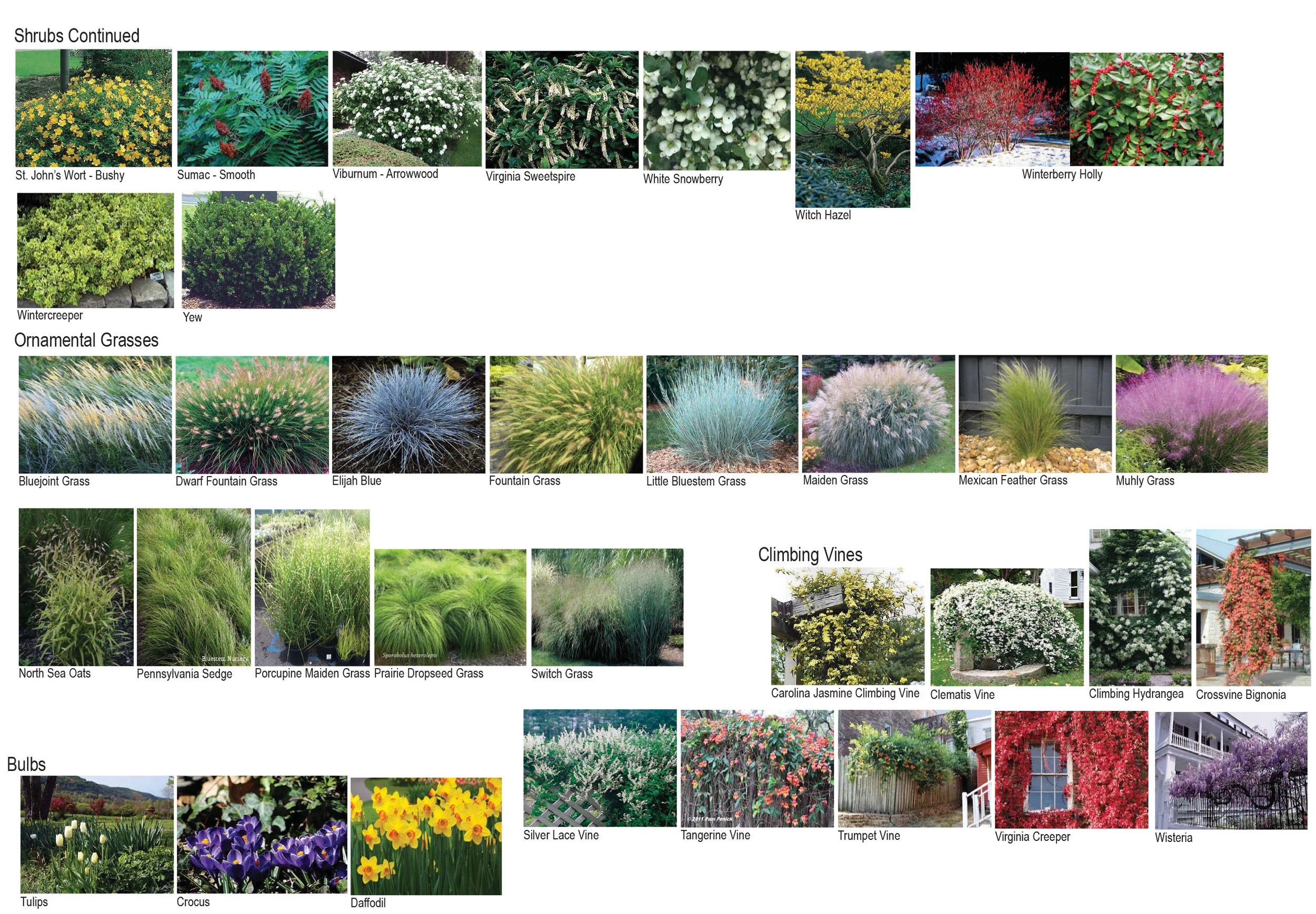 Plant Pallet-3.jpg
