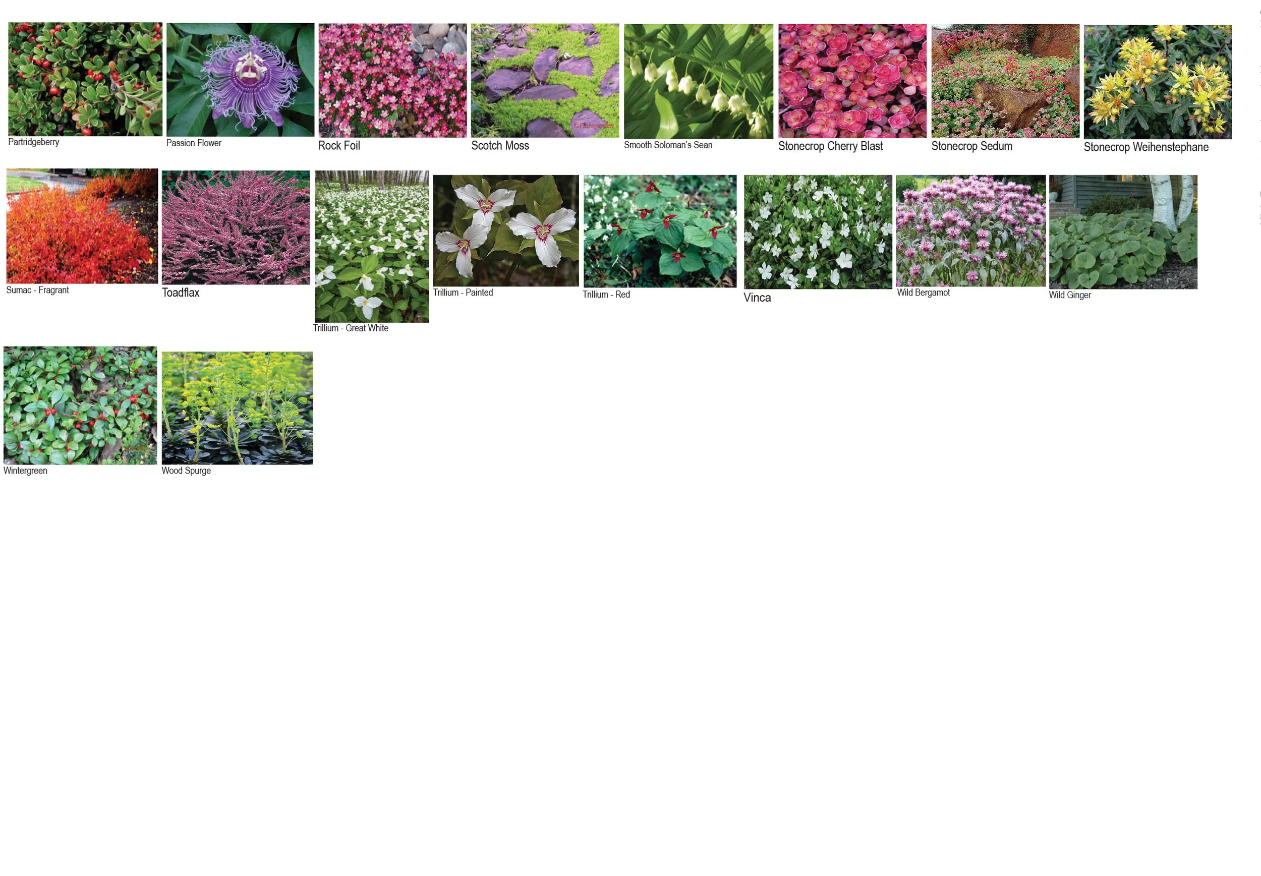 Plant Pallet-5.jpg
